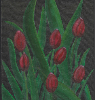 Tulips